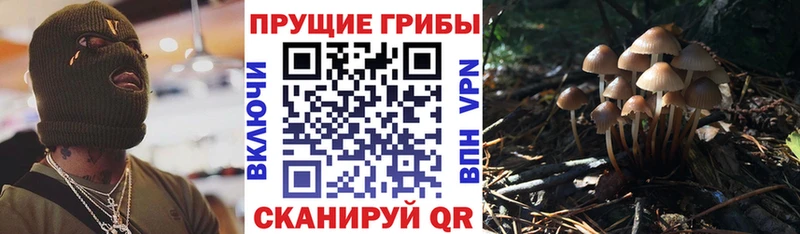 ссылка на мегу ссылка  цена наркотик  Пересвет  Галлюциногенные грибы Magic Shrooms 